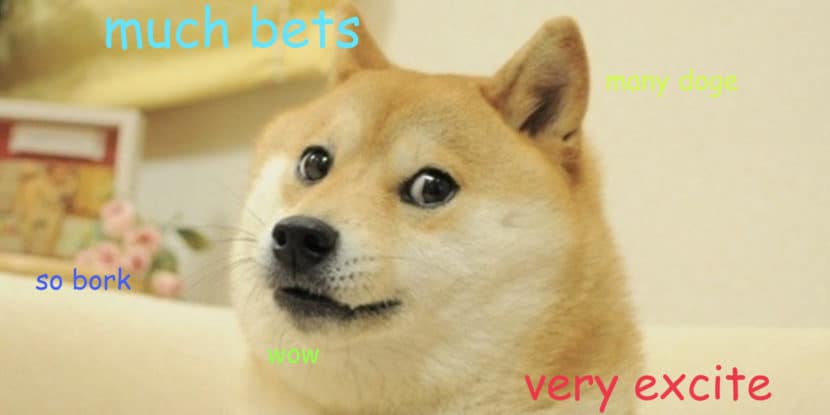 doge-dog-excite-about-crypto-gambling